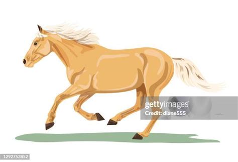 picture of a palomino|2,415 Palomino Horse Stock Photos & High